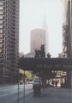 Highlight for Album: New York City, 2000